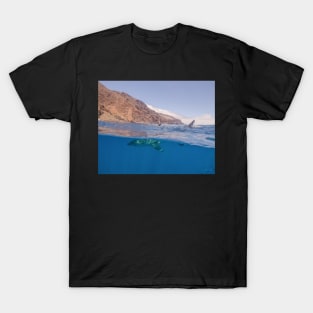 A Great White Shark in Guadalupe Island, Mexico T-Shirt